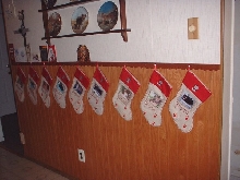 stockingscats