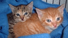 two