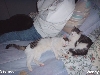 wensey