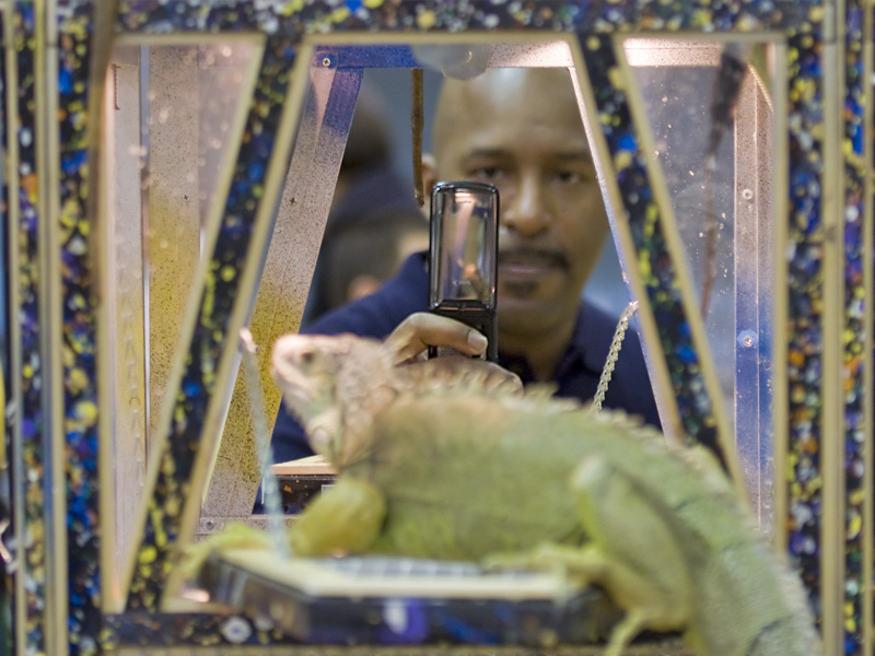 Reptile Fest 2010