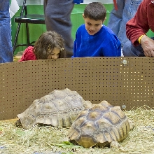 Reptile Fest 2010