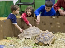 Reptile Fest 2010
