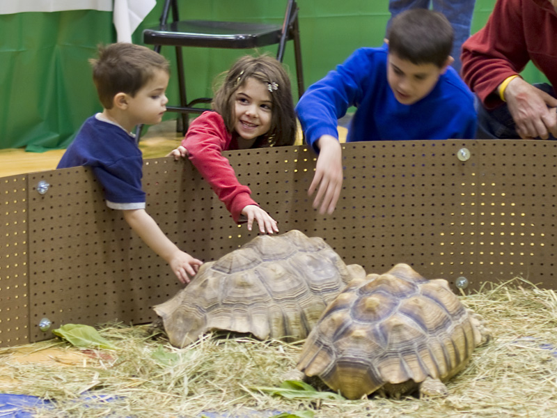 Reptile Fest 2010
