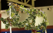 Reptile Fest 2010