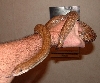 Trinidad Rainbow Boa 04