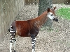 Different criter