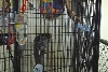 My visit to Forever Wild