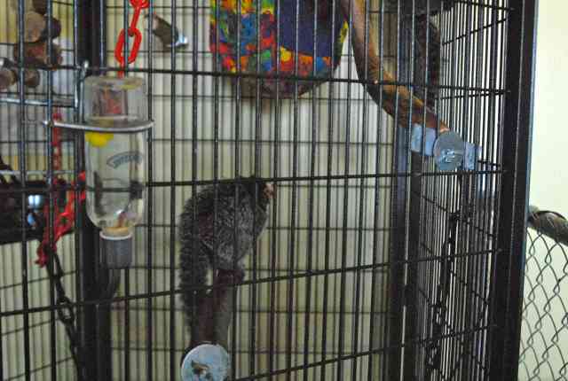 My visit to Forever Wild