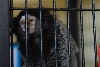 My visit to Forever Wild