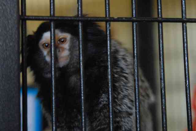 My visit to Forever Wild