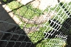 My visit to Forever Wild
