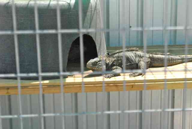 My visit to Forever Wild