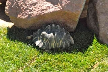 My visit to Forever Wild