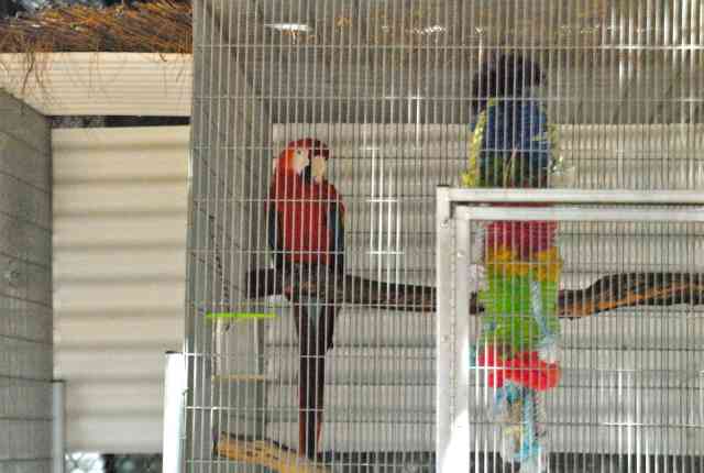 My visit to Forever Wild