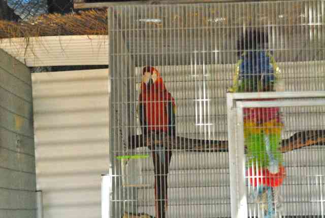 My visit to Forever Wild