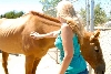 My visit to Forever Wild