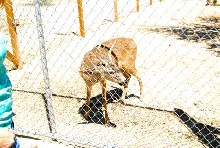 My visit to Forever Wild