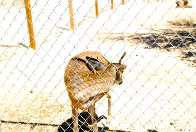 My visit to Forever Wild