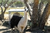 My visit to Forever Wild
