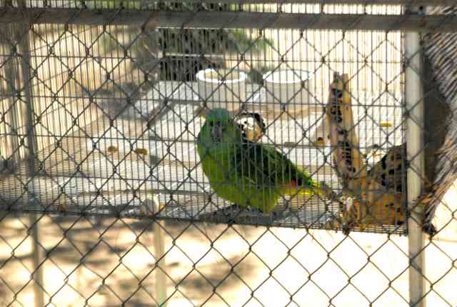 My visit to Forever Wild
