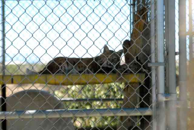 My visit to Forever Wild