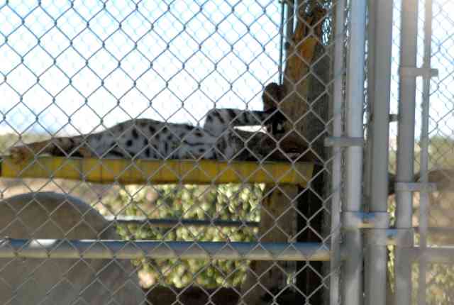 My visit to Forever Wild