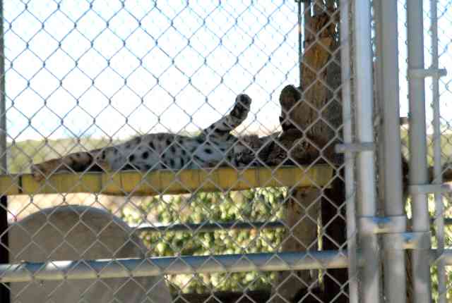 My visit to Forever Wild