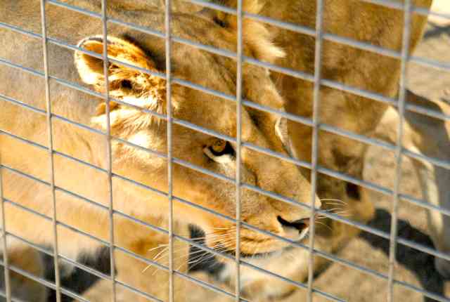 My visit to Forever Wild