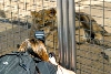My visit to Forever Wild