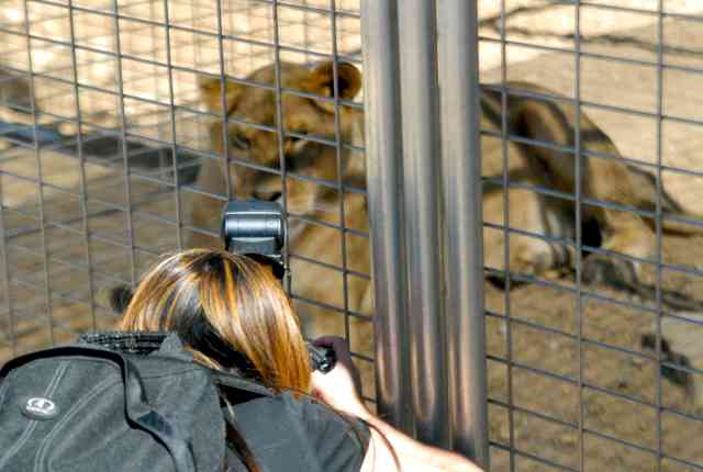 My visit to Forever Wild