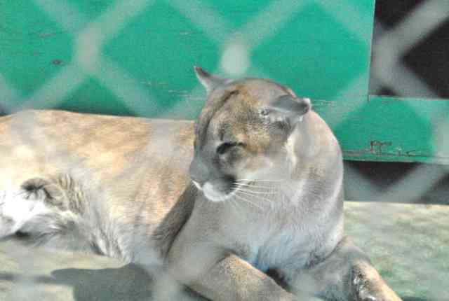 My visit to Forever Wild