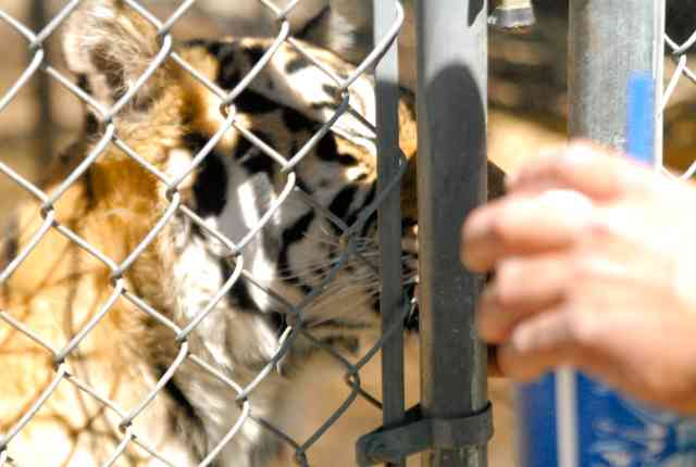 My visit to Forever Wild