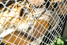 My visit to Forever Wild