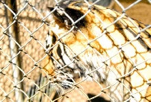 My visit to Forever Wild