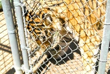 My visit to Forever Wild