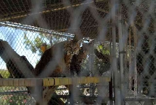 My visit to Forever Wild