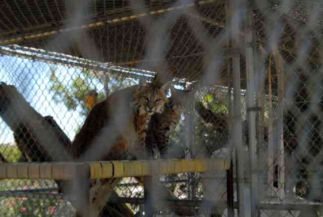 My visit to Forever Wild