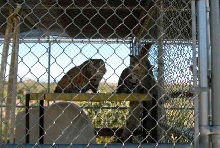 My visit to Forever Wild