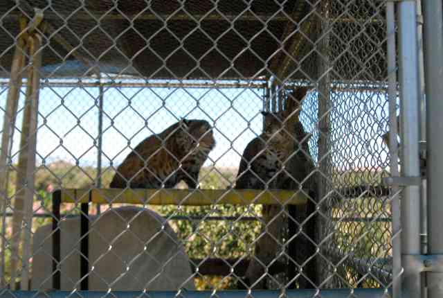 My visit to Forever Wild