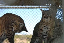 My visit to Forever Wild
