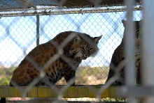 My visit to Forever Wild