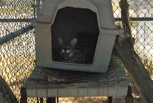 My visit to Forever Wild
