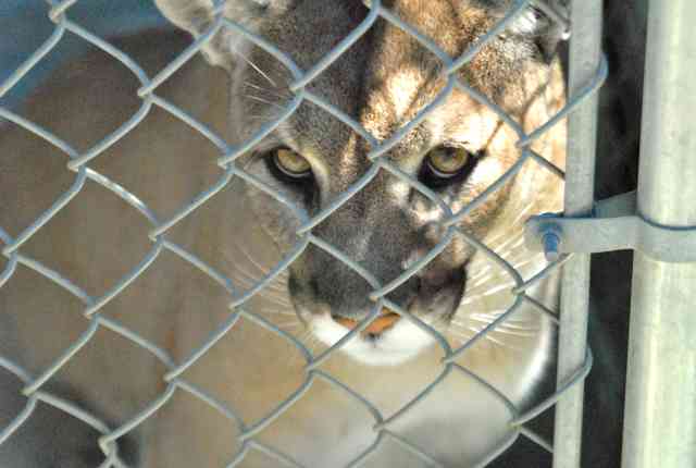 My visit to Forever Wild