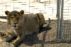 My visit to Forever Wild