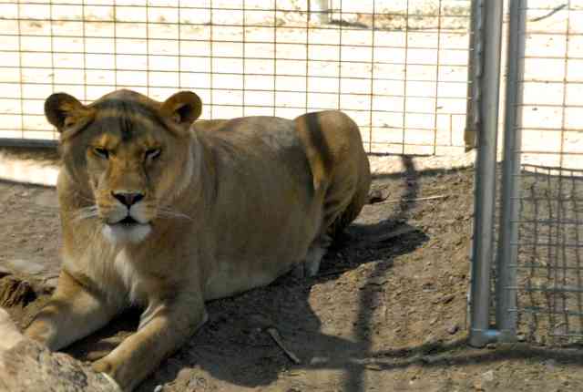 My visit to Forever Wild