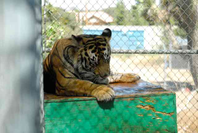 My visit to Forever Wild