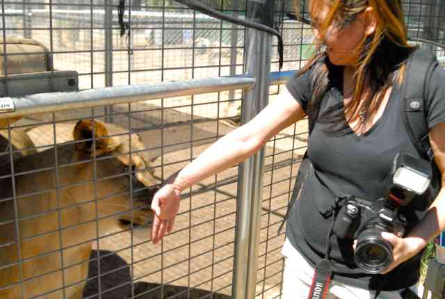 My visit to Forever Wild