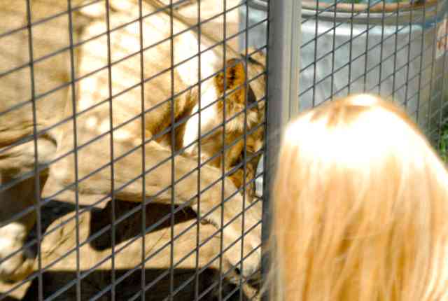 My visit to Forever Wild
