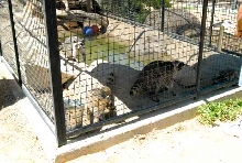 My visit to Forever Wild