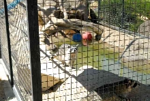 My visit to Forever Wild